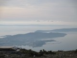 13. Sumaglica